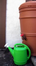 Rain barrels allow gardeners to capture water and use it during dry months. Photo: UC Regents