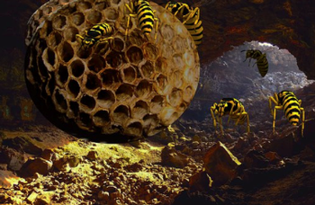Yellowjacket nest Photo courtesy of pixabay.com