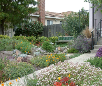 CA native plants are well adapted to our drought-oriented climate and a preferred choice for fire-smart gardens. Credit: Gardensoft