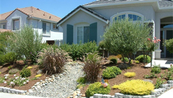 Apply mulch between plants to help soil retain moisture and carbon. Photo: Gardensoft