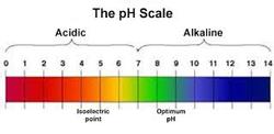 The pH scale is how acid or basic a material is. Healthy soil is right around pH 7. Credit: Wikimedia Commons