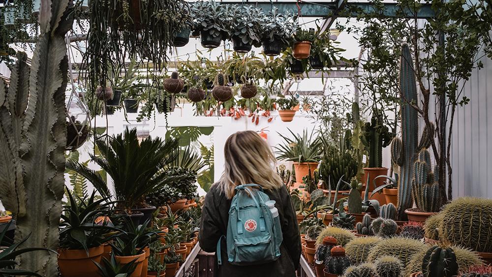 We can grow thousands of different plants in our mild climate, which can make a visit to the nursery overwhelming. Photo, Leone Christine, Unsplash