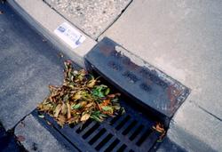 Anything that flows into storm drains ends up in the San Francisco Bay. Photo: Allan Chen