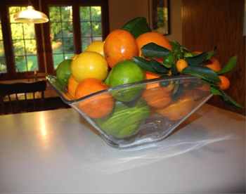 Photo: Anne-Marie Walker, Homegrown Varieties of Citrus