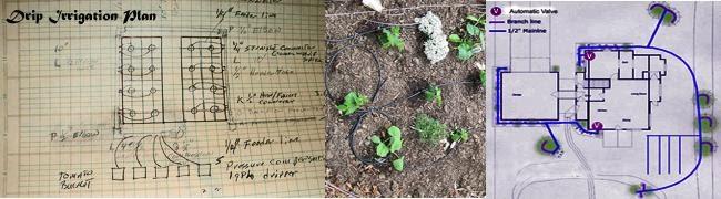 Planning is essential to a successful drip irrigation installation. Photo credit: UC Sonoma Master Gardeners