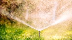 Sprinkler system typically used in lawns.