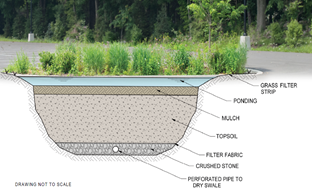 This construction design illustrates one way to design a rain garden. Credit: ucanr.edu/blogs/CoastalGardener
