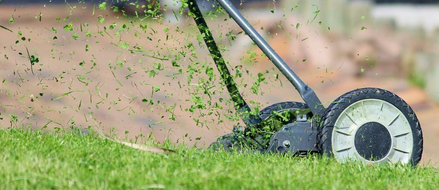 If you must have a lawn, raise mower blade to 3 inches. Photo credit: Ulrike Mai from Pixabay