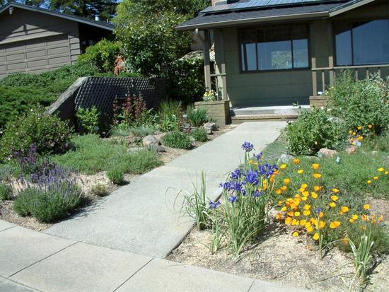 A fire-smart healthy landscape incorporates well-spaced & maintained native plants displaying variations in colors & textures. Photo: GardenSoft