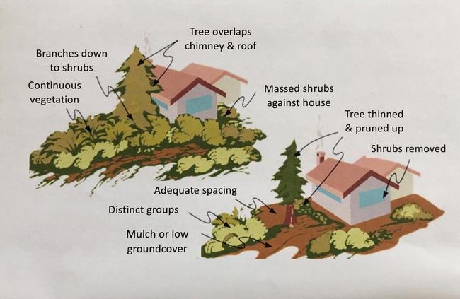 Fire-wise thoughtful pruning and spacing between plants. Photo Credit:  EBMUD
