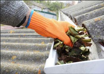 Dry leaf litter in the rain gutter or on the roof is combustible. Photo Credit: S For Cleanup