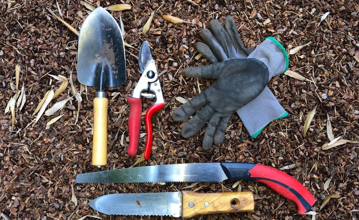 Tools from top left: trowel, bypass hand pruner, gloves, pruning saw, hori hori knife Photo: Fay Mark