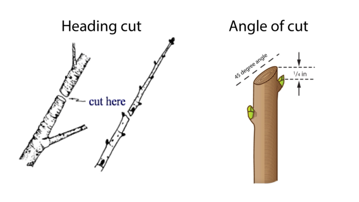 Heading-Cut-and-angle