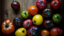 VEG tomato vince-lee-gwT4rs_xlUA-unsplash