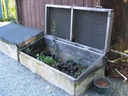 A cold frame provides protected space for spring seedlings. Sandy Metzger