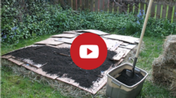 Sheet composting is an effective way to turn a lawn or weedy patch into a plantable plot.