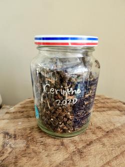 Saving seed in a sealed jar in a cool place will extend longevity. Photo: Diane Lynch