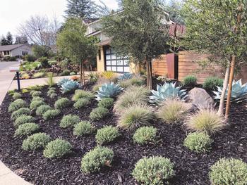 Creative use of a variety of water-wise plants and hardscape materials can make an attractive alternative to your front lawn. Photo: Wendy Irving