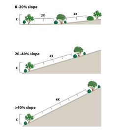 slope plant spacing