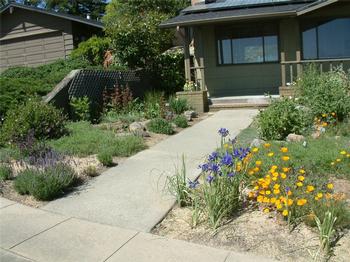 Healthy, low growing, drought tolerant, pollinator friendly plants properly maintained along home exit route. Photo: GardenSoft