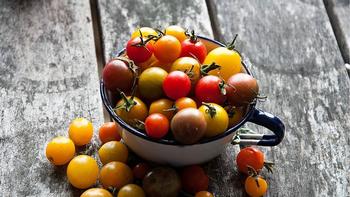 Store tomatoes at room temperature. Piqsels