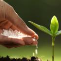 June 2021: Fertilizing Your Soil