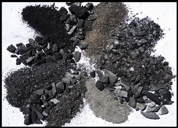 Biochar can be large chunks of charcoal or fine powder. Try to find small, fine-textured, porous flakes. Photo: Sanjai Parikh