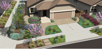 A rendering of your landscape can help you visualize your planting plan. Photo: City of Santa Rosa and Gates & Associates