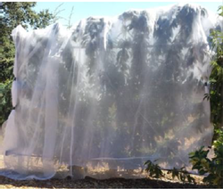 Shrouding with netting may be necessary for protection against insects, wildlife or inclement weather.