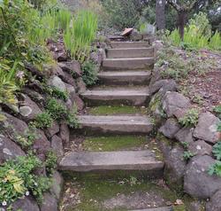 This stairway does a good job of banking water into the hillside since the fill behind the treads has settled to catch water. Photo: Diane Lynch