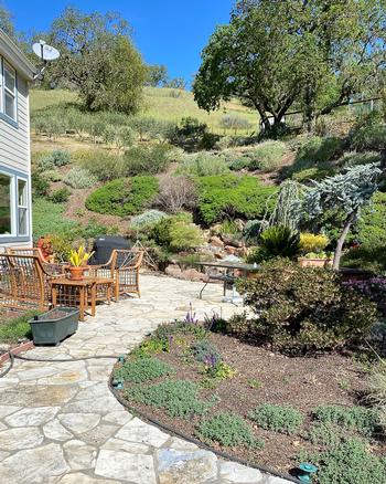 This beautiful fire-smart garden in Novato has hardscape and appropriately spaced native plants growing up the hillside. Photo: Barbara Robertson