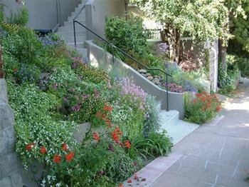 Terracing turns a steep slope into a beautiful entryway. Photo: Gardensoft