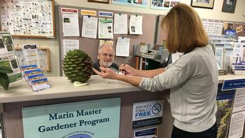 Marin Master Gardeners staff the Help Desk, garden problem solving/information resource provided through UC Cooperative Extension for Marin residents.