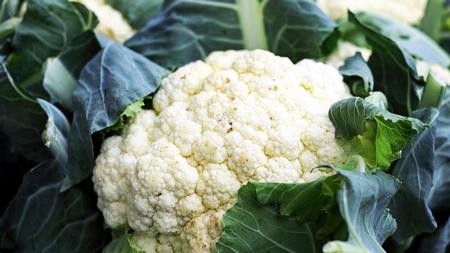 Long-season varieties of cauliflower grow well during the cooler winter months and can be harvested six to eight months after planting. Pixnio