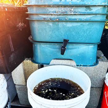 A worm bin operates in layers with the bottom layer collecting the liquid from the decomposition process. This liquid can be used to water the garden.