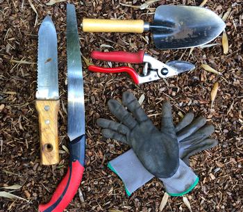 Keeping your tools in a container or tote that you move around the garden is one way to make sure you do not lose track of them. Photo; SmugMug
