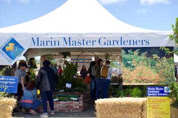 Fairgoers visit the Marin Master Gardener tent at the County Fair to learn how to grow gardens that are beautiful, low-water, and pollinator-friendly.