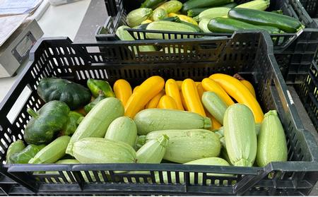 Summer squash are tastiest when they are picked while small.