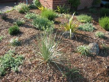 A neatly cleaned perennial bed has a new layer of mulch to enhance appearance and control weeds. Photo: Dry Stone Garden