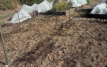 A layer of organic mulch protects the soil when garden beds are fallow.