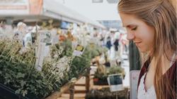 choosing plants