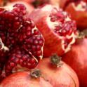 Pomegranates: easy, delicious, and drought-tolerant  Punica granatum