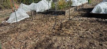 Layers of compost and mulch protect the soil in garden beds allowed to remain fallow.