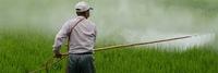 Pesticide Spraying