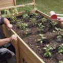 Gardening for the Physically Challenged