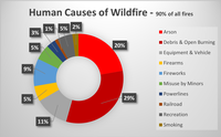 Human Causes of Wildfire