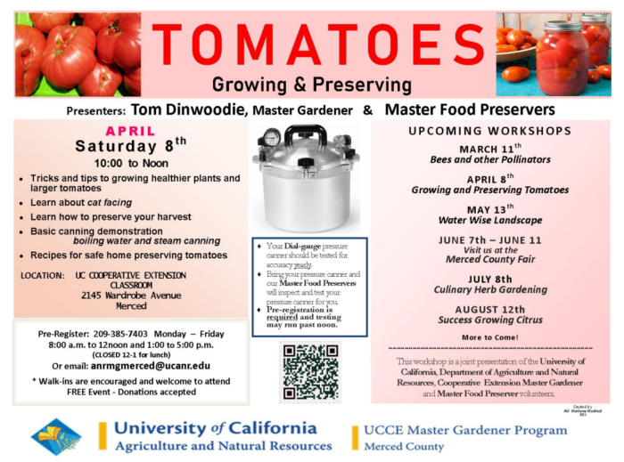 Tomato Growing Preserving Flyer