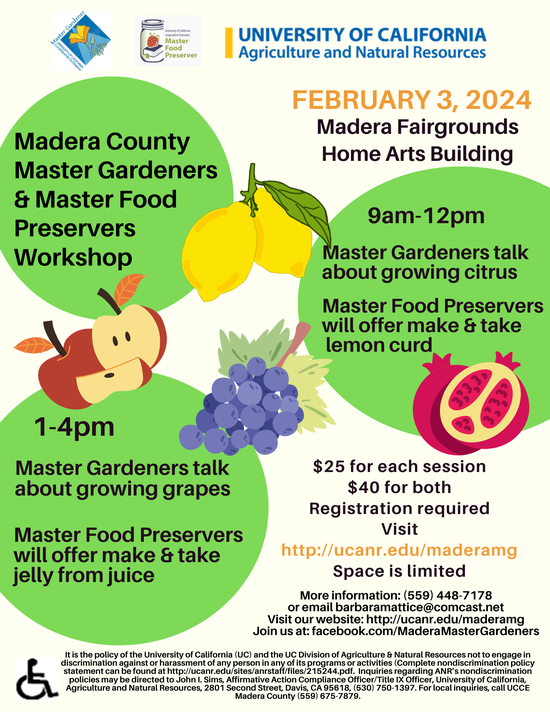 02-03-24 MG-MFP Fruit Workshops Flyer