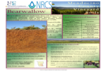 Bearwallow soil info sheet
