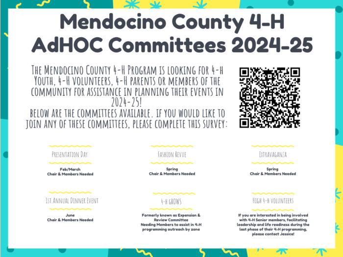 Mendocino County 4-H AdHOC Committees 2024-25